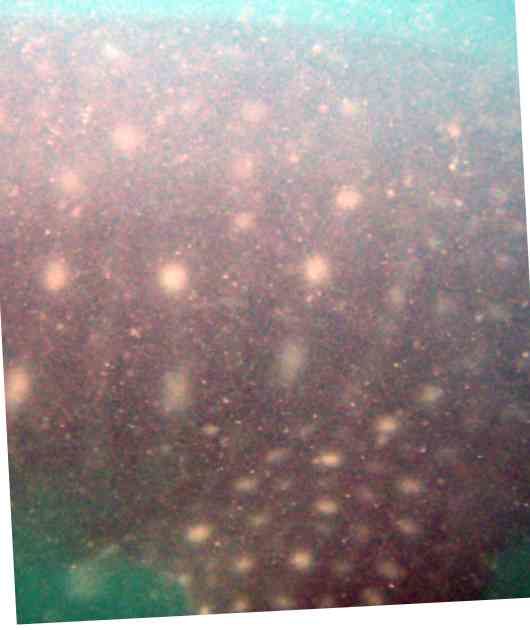 a8ebee05-9a51-461c-a870-156d3c570eaa