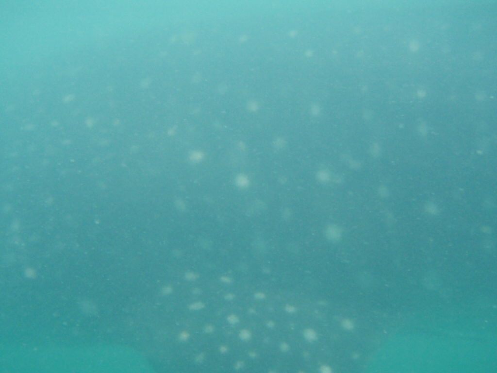 d684f2f0-8687-4937-8681-734a766d4447