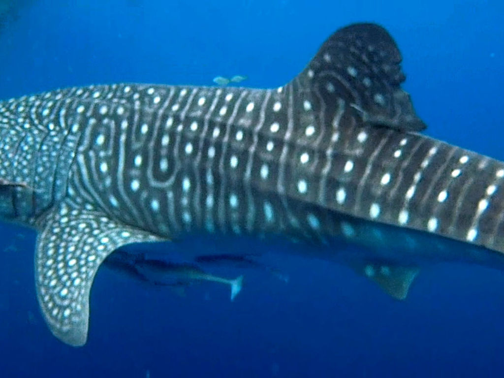 72bae134-7082-4848-80d3-28e3eb2c8880