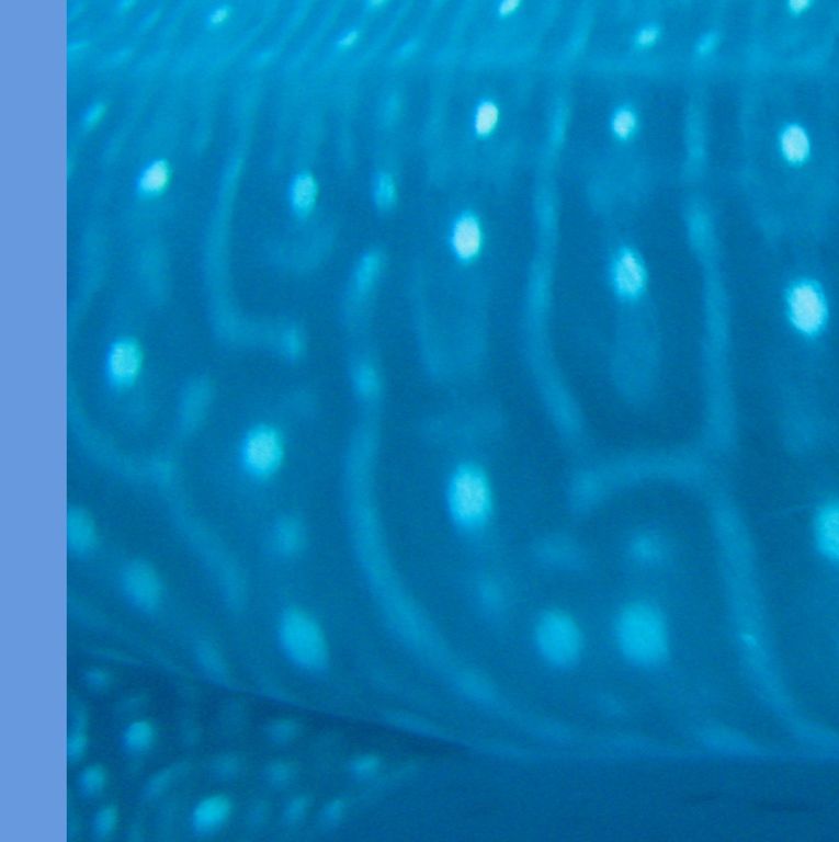 06409c06-b8fc-4988-8af3-14207e248046