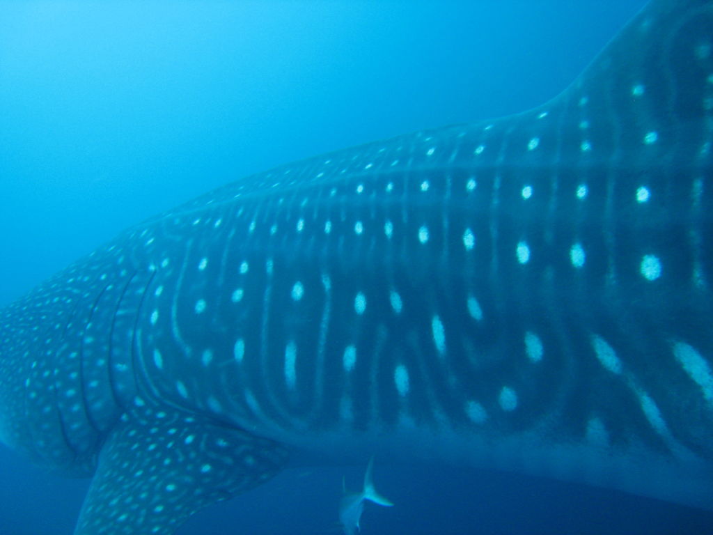 7102f579-f455-45ad-a650-b354d31ed5f7