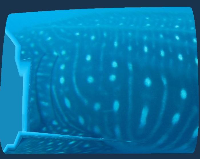 7102f579-f455-45ad-a650-b354d31ed5f7