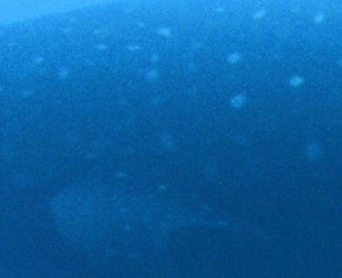 4ed2cf07-d2aa-485d-aa54-1f6938c00620