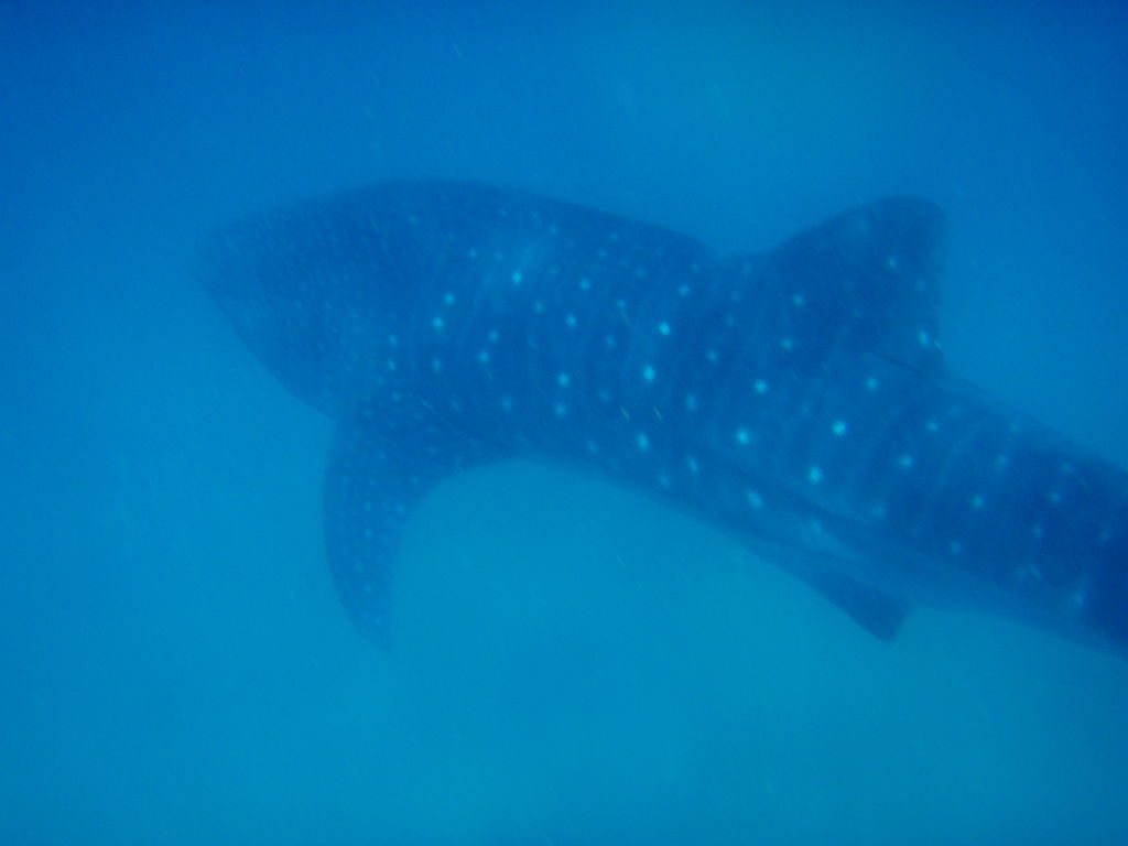 94763d79-9e92-4a9a-beb1-bbcc6bd0b5c5