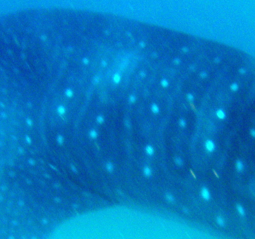 94763d79-9e92-4a9a-beb1-bbcc6bd0b5c5