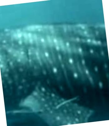 542a793e-722b-4ca1-a519-b993ac950e85