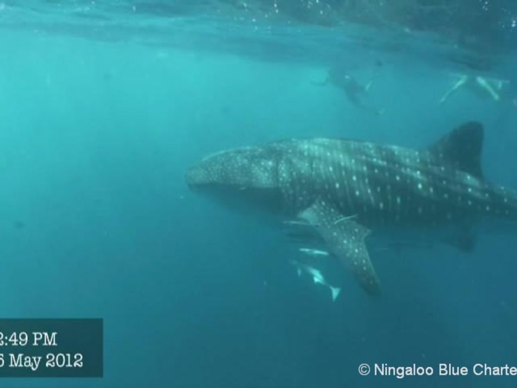 542a793e-722b-4ca1-a519-b993ac950e85