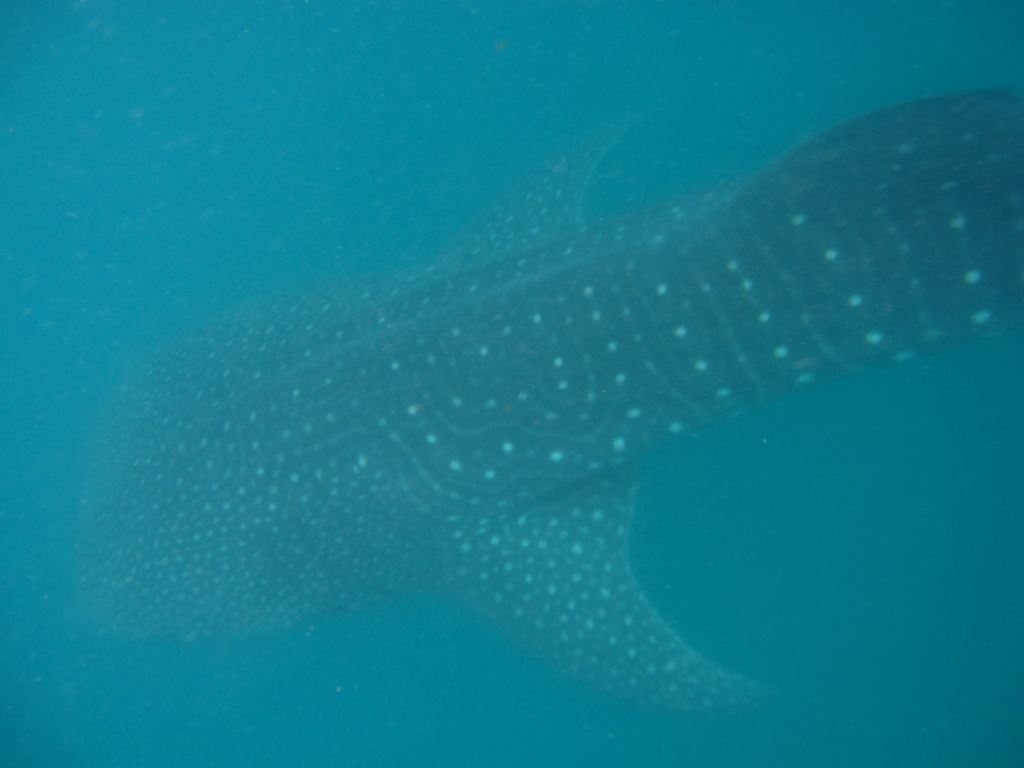 9edf339a-a2db-45d6-a922-414a4f09ebe3