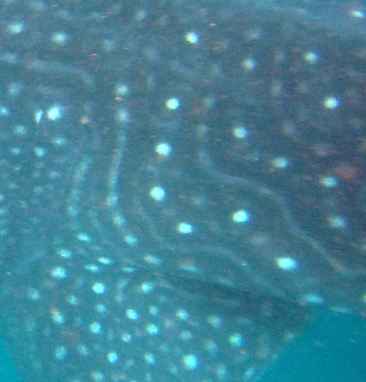 9edf339a-a2db-45d6-a922-414a4f09ebe3