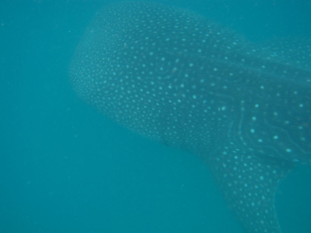 9edf339a-a2db-45d6-a922-414a4f09ebe3