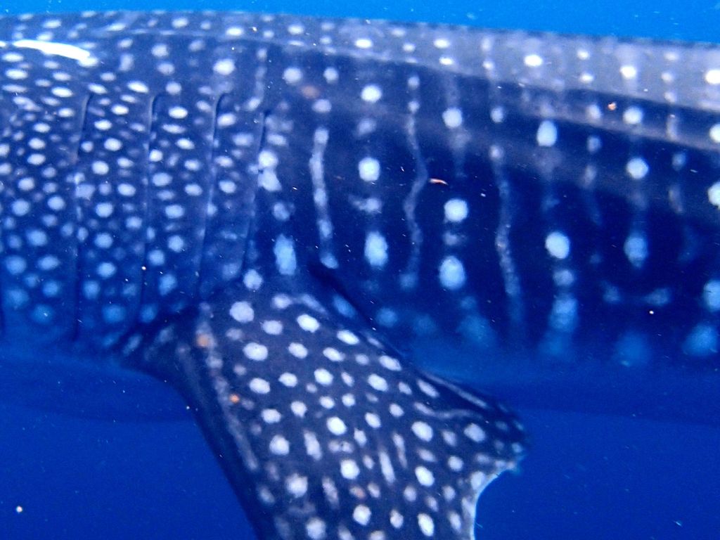 28514dc3-2204-4101-b276-f26413267c26