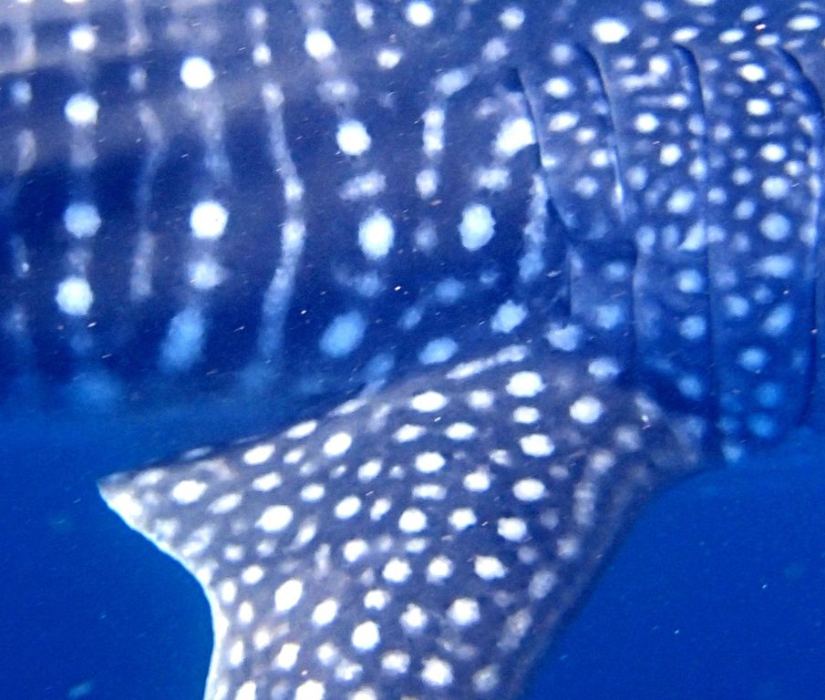 28514dc3-2204-4101-b276-f26413267c26