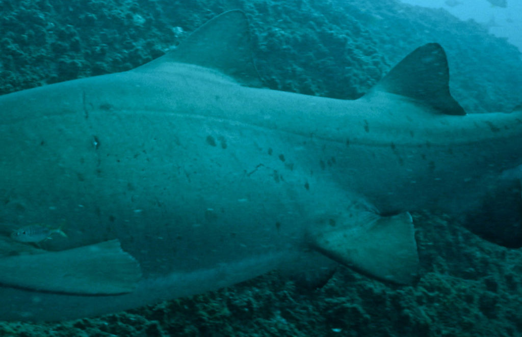 ad75732c-1e81-4757-b9eb-a1ebe93ac8b9