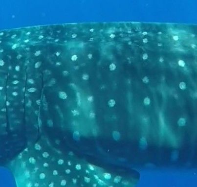 22b1d92f-d93a-41e2-8e70-0df732351943