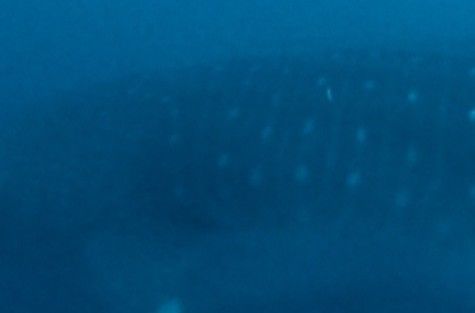 d6ba3980-b5f3-4bd6-bb57-7b1e31a2ec34