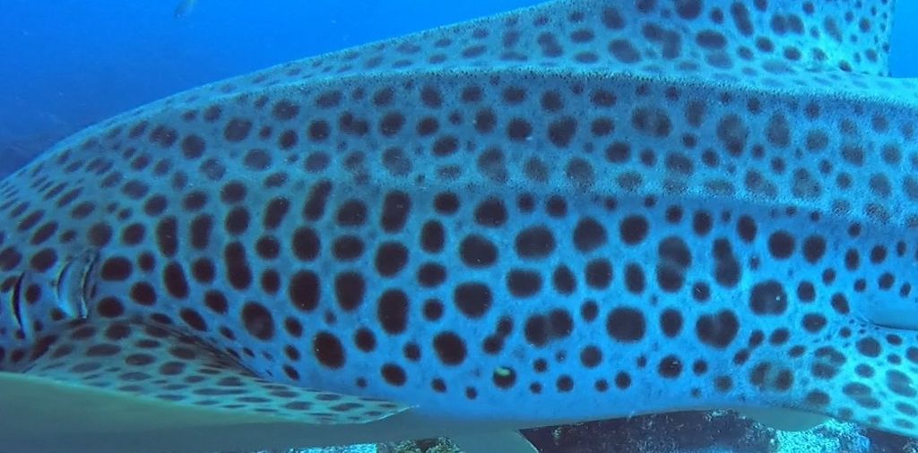 8d183822-cca5-4846-af8f-246e112f0016