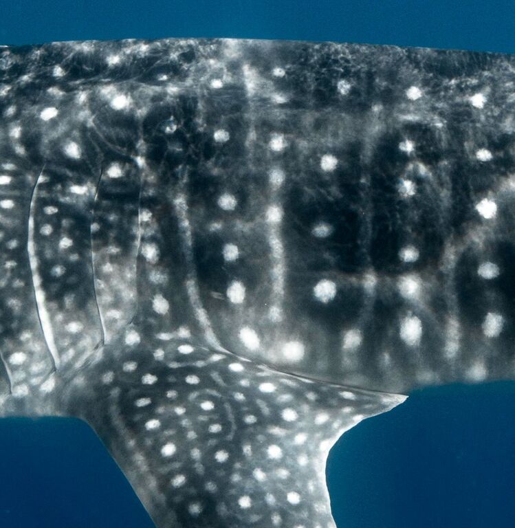 884de3eb-498a-42e8-9584-9dd650dd78e0