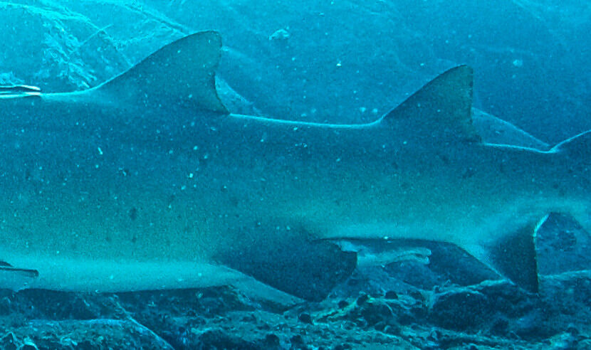 4f6a198b-f644-4c92-bd71-7b46581f8973