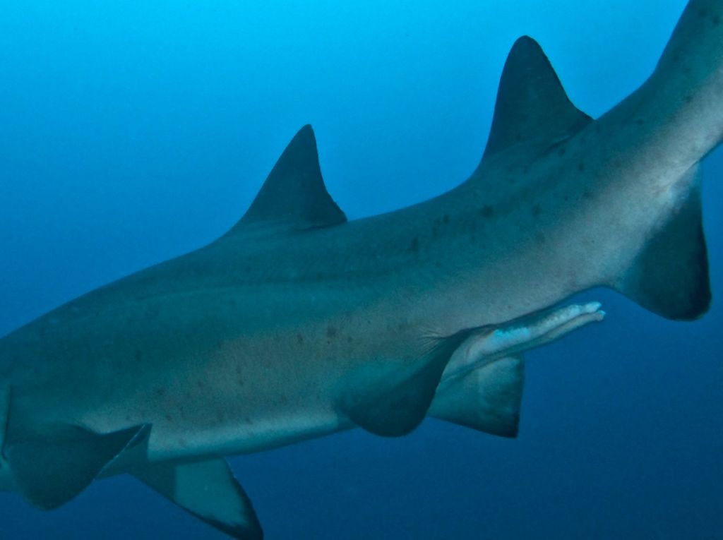 65b8b91d-9b03-4a0b-a502-690fb135c393