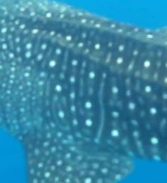 a41d182b-1c26-4dfc-b656-47e81d51920e