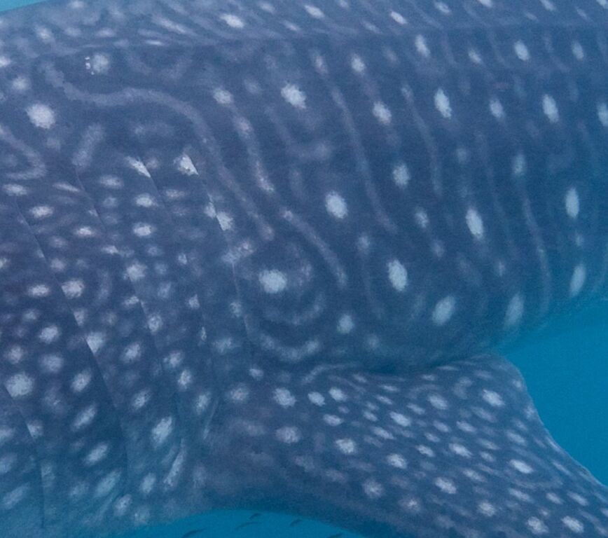 509d7948-8cf3-4a1f-97de-427edec31af1