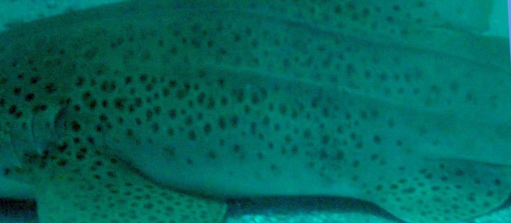 85878708-30d4-4807-a1b2-28cba271ae6f