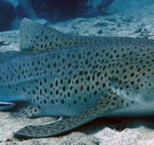 f90ed4af-e13d-400c-ad8d-1ca3000ff264