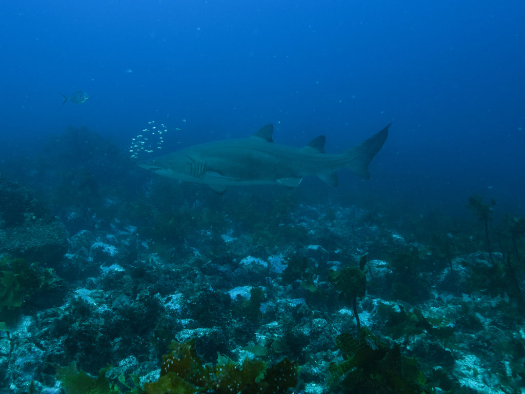 8a59c3ef-0c6e-44ea-b98d-ff864d0579ca