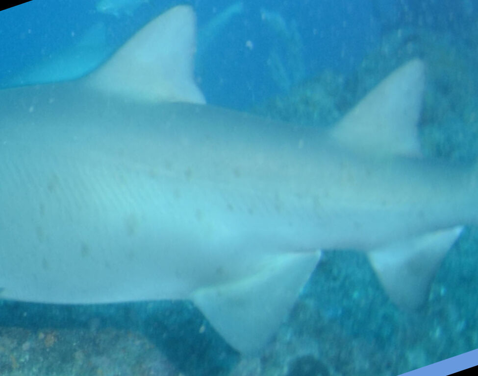 c33e1f57-6f51-41ef-b9e5-dfb3a1124bfd