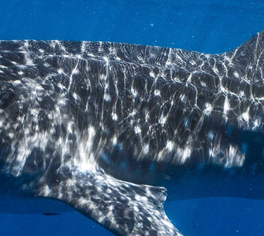 6c614317-f498-4b04-b6d8-e55d18590a78