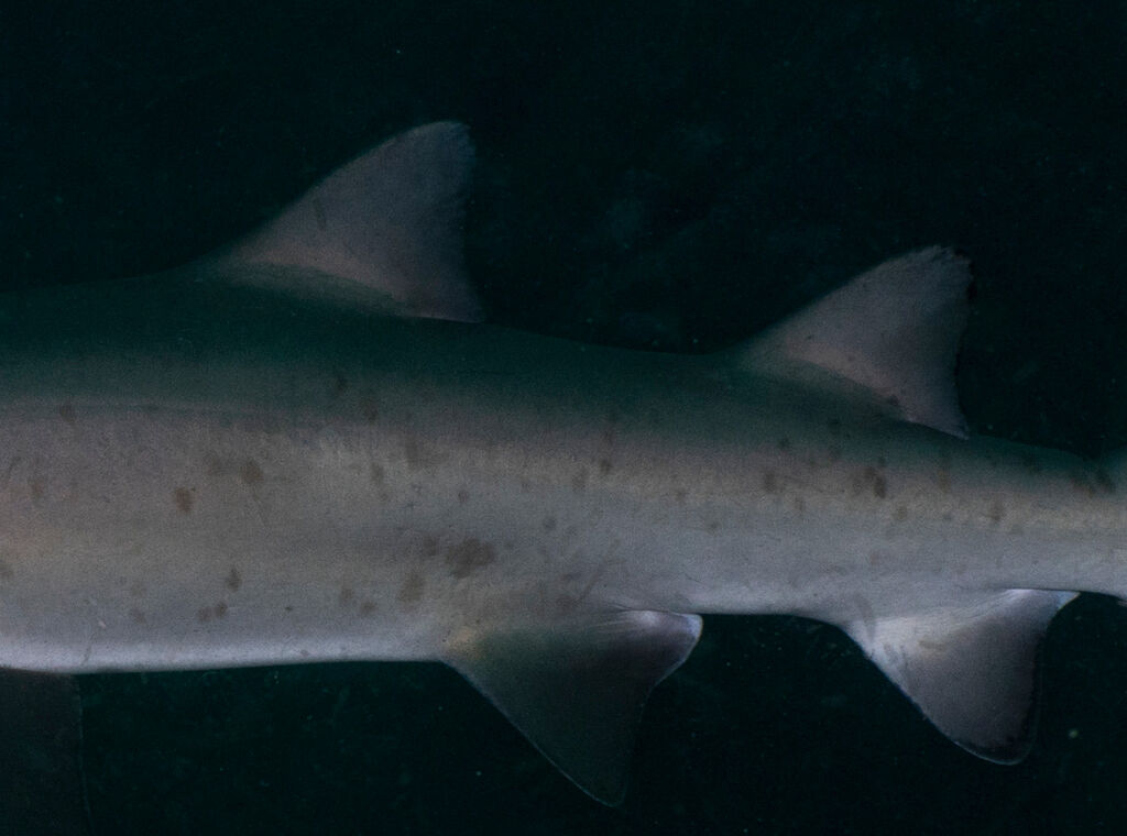 a8d9ea96-2f12-4445-a482-74925eb06fa9