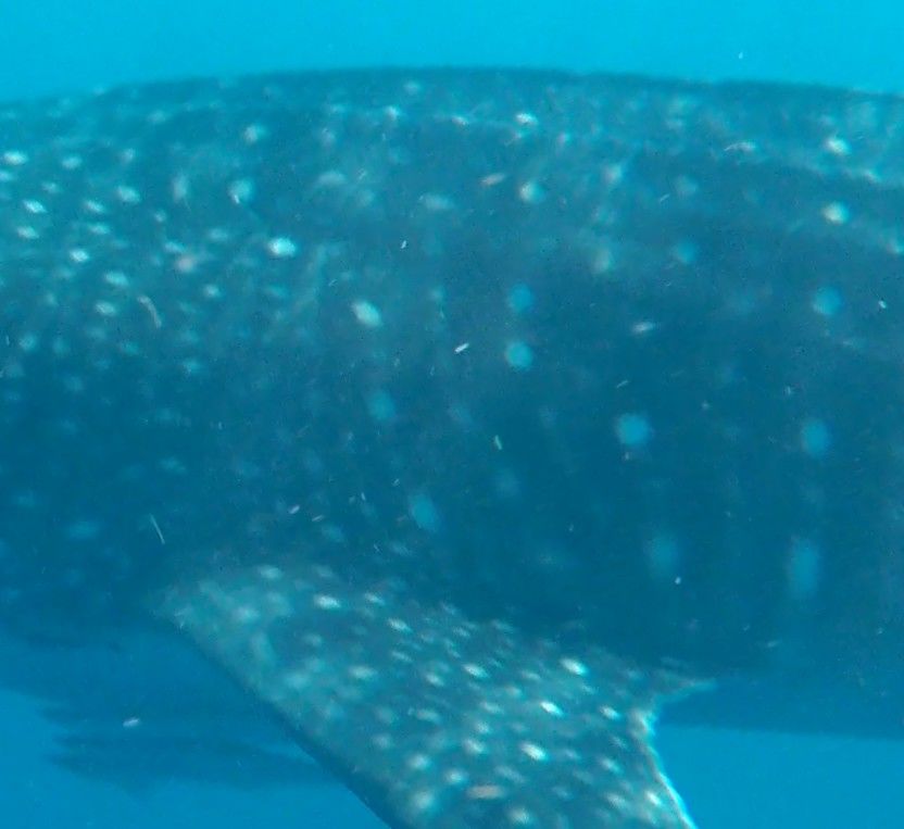 30cafc77-7160-4788-8e5d-eb3e741d1070