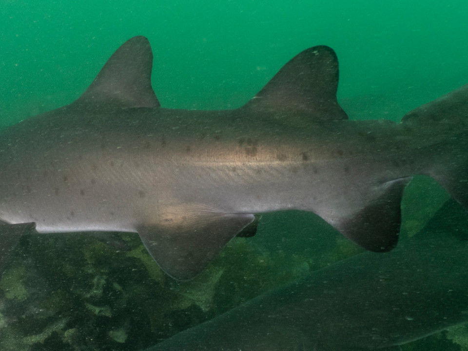 f4f5cc9a-be92-4805-838b-5491f55afc7c