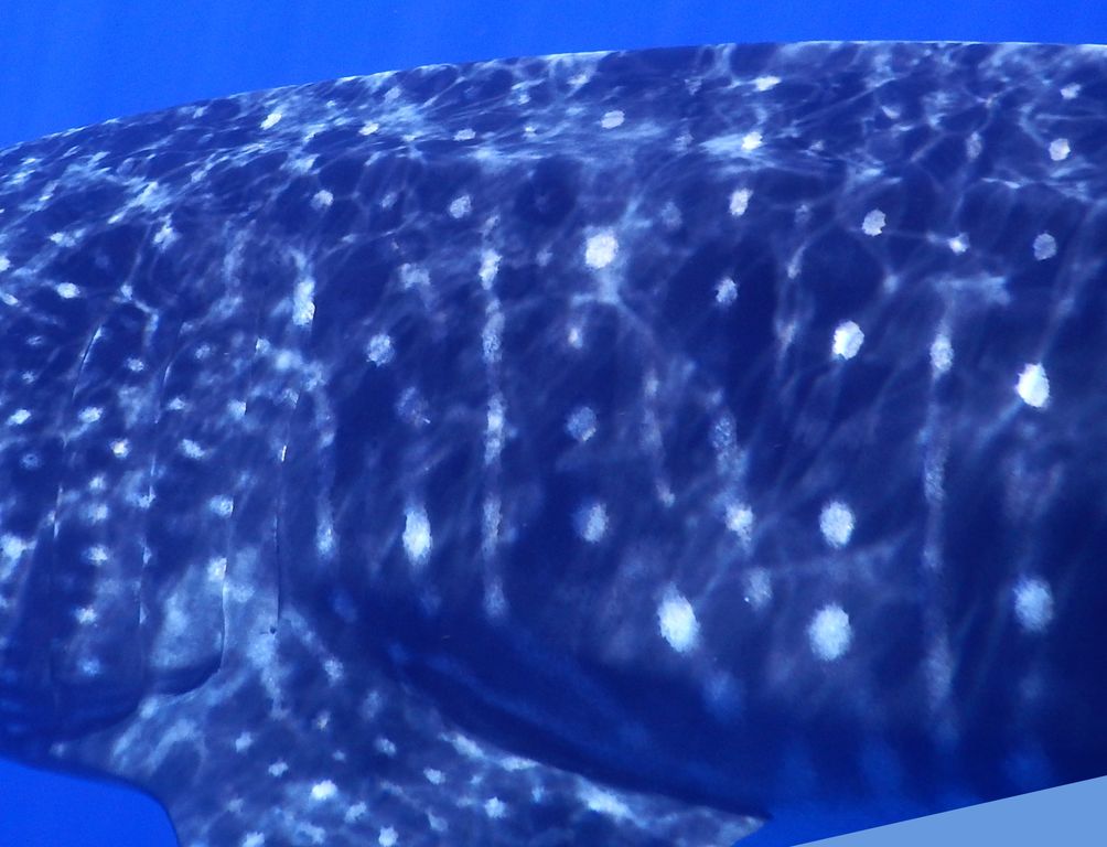 8153fb5b-997f-4010-a922-612fe765fb43