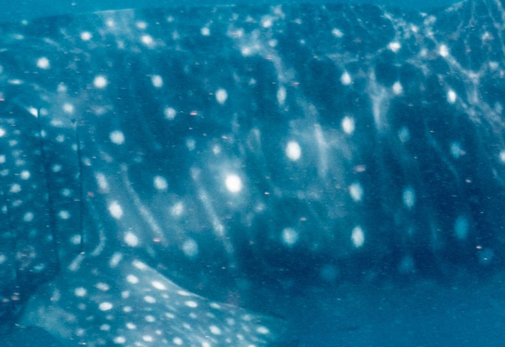 6d1c2189-3621-4150-8750-c6480b8d4917