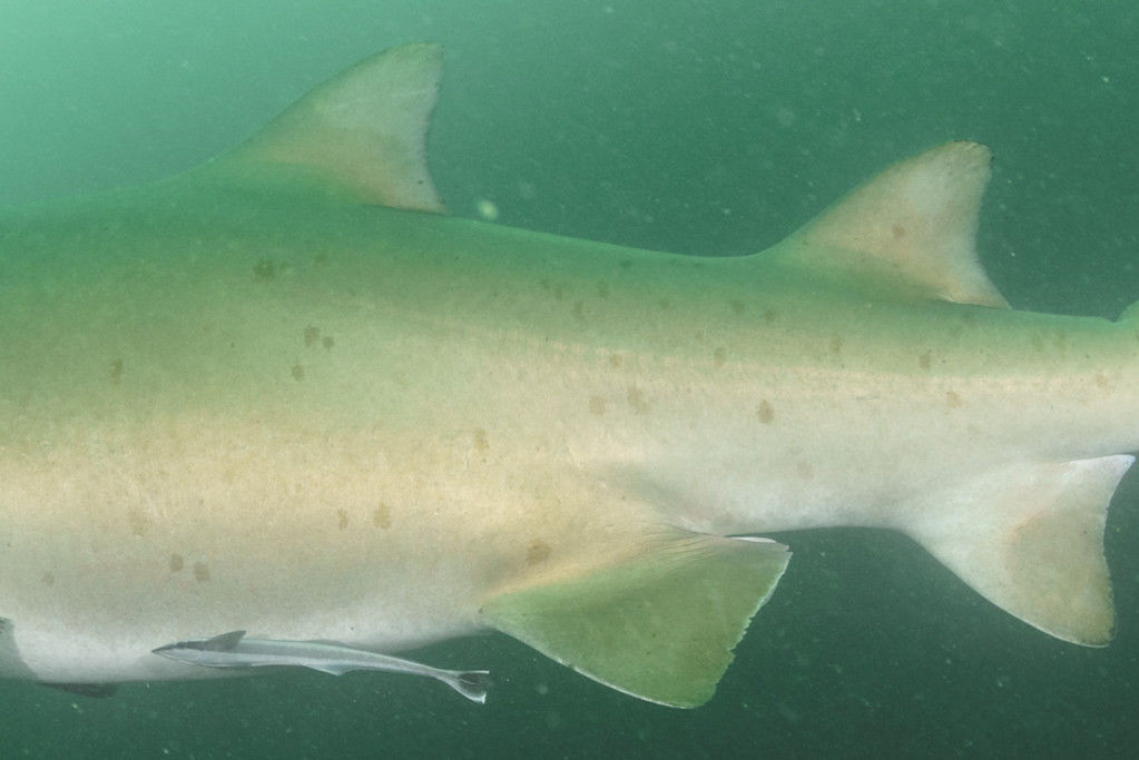 7291c306-98ed-4772-a9c8-38baf7110934