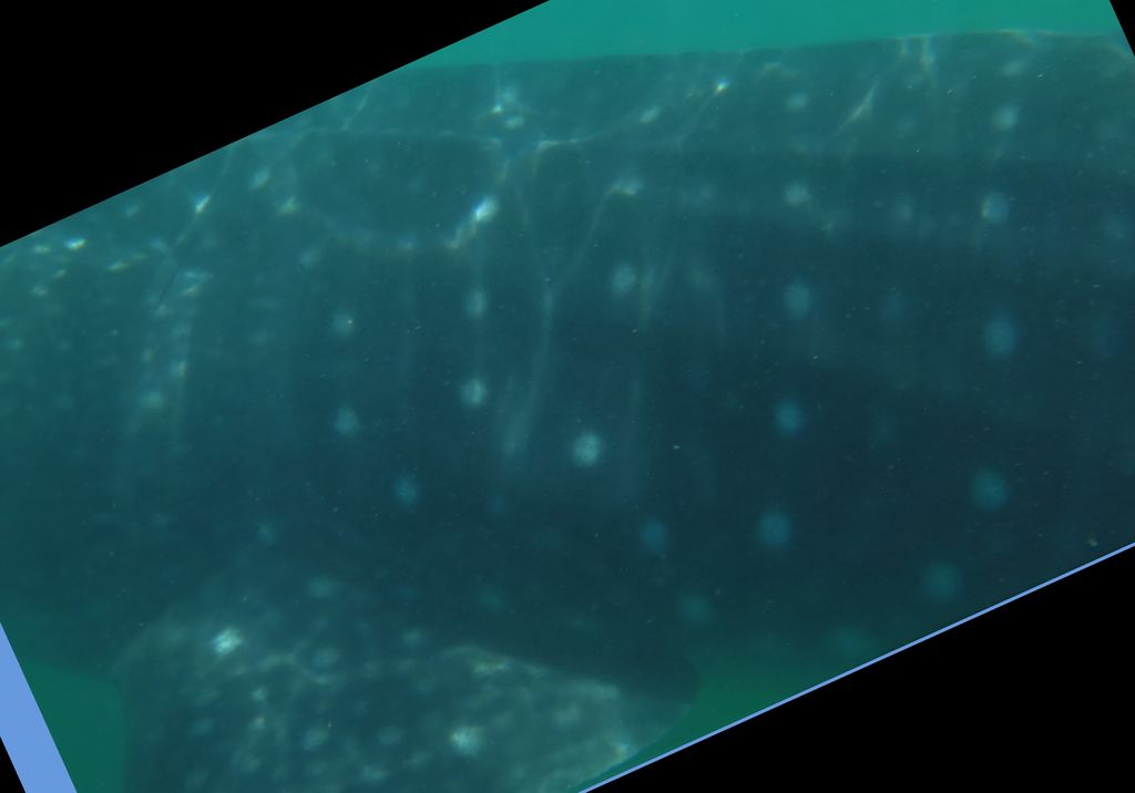 103fe0b7-bce6-4694-86db-c5bb5ba37466