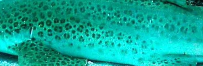 b1f942d7-a14c-42c8-aa50-ddcdc90e1c2f