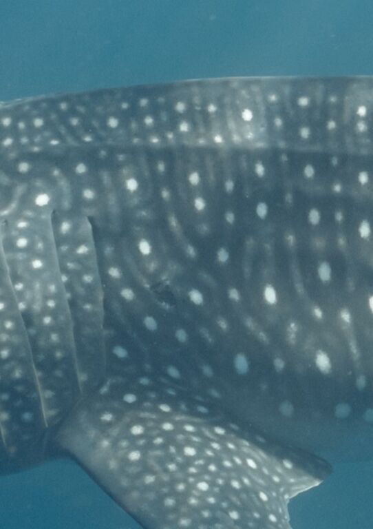 73ac806a-b565-4950-a1d5-24c5e2b0d9c4