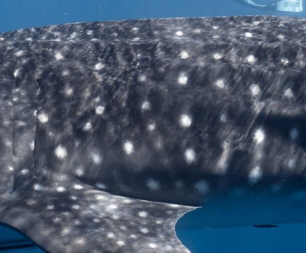 5887af18-6d34-449d-b540-811fc36586b9