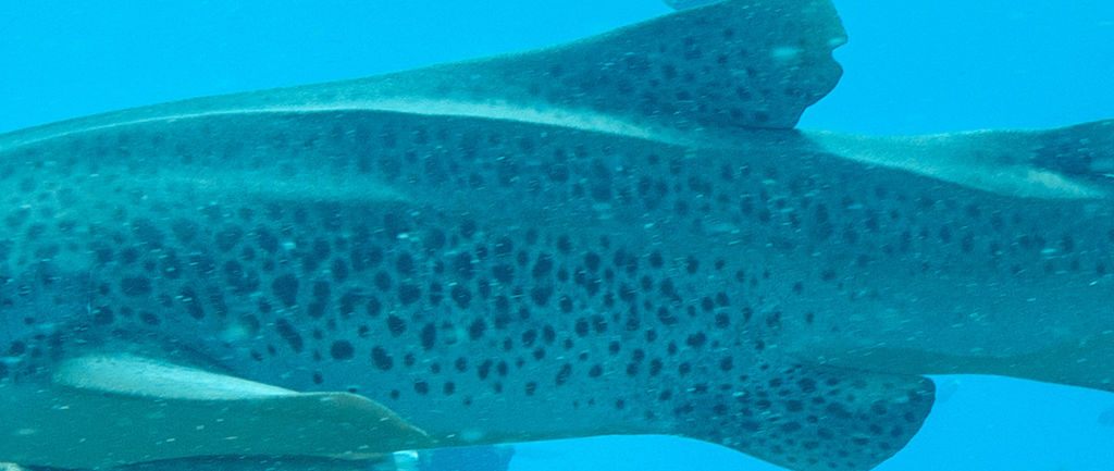 0f16f8d8-f6ad-462c-a672-727744828b43