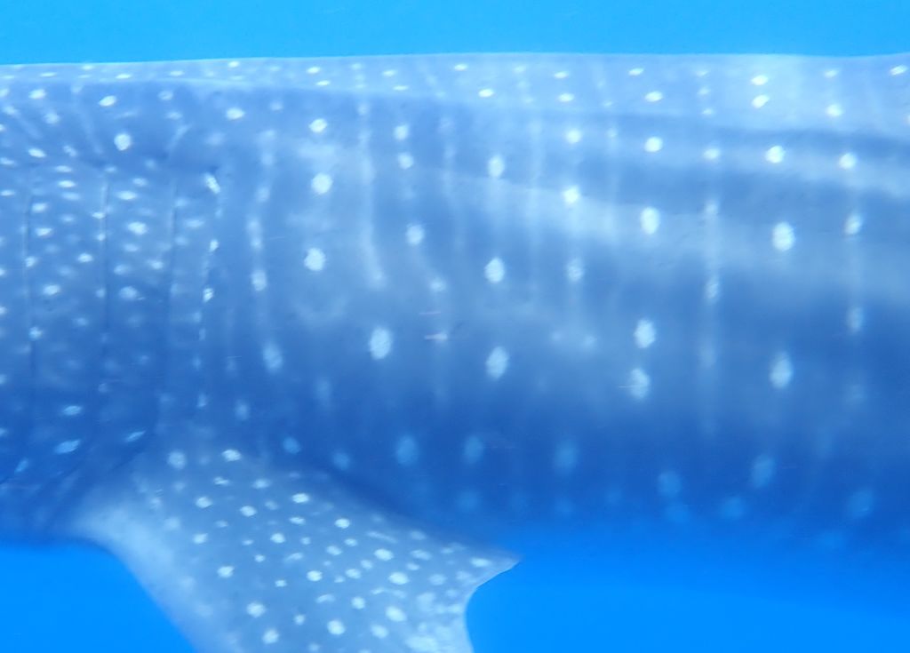 0e52e654-d8c8-489c-beed-8d5ed607611f