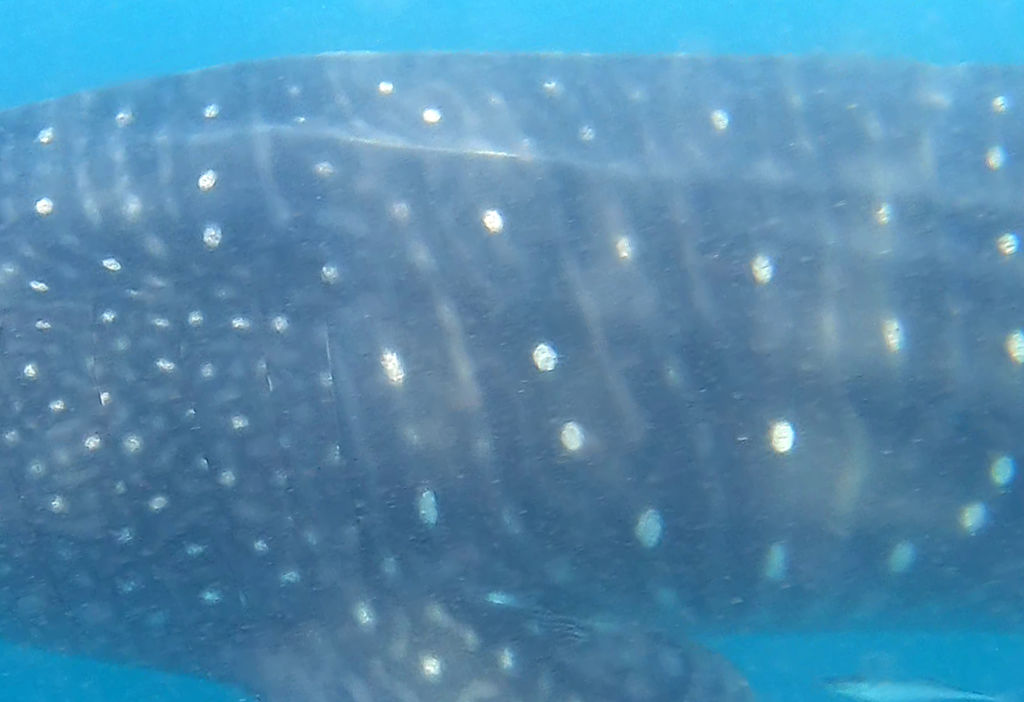 e1ff6ce6-4228-4e60-828f-3982fa7f66e8