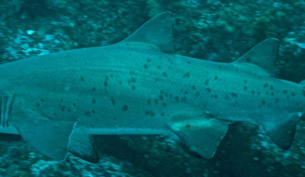 c460a235-f8ef-4b3a-b6ae-309a767e7244