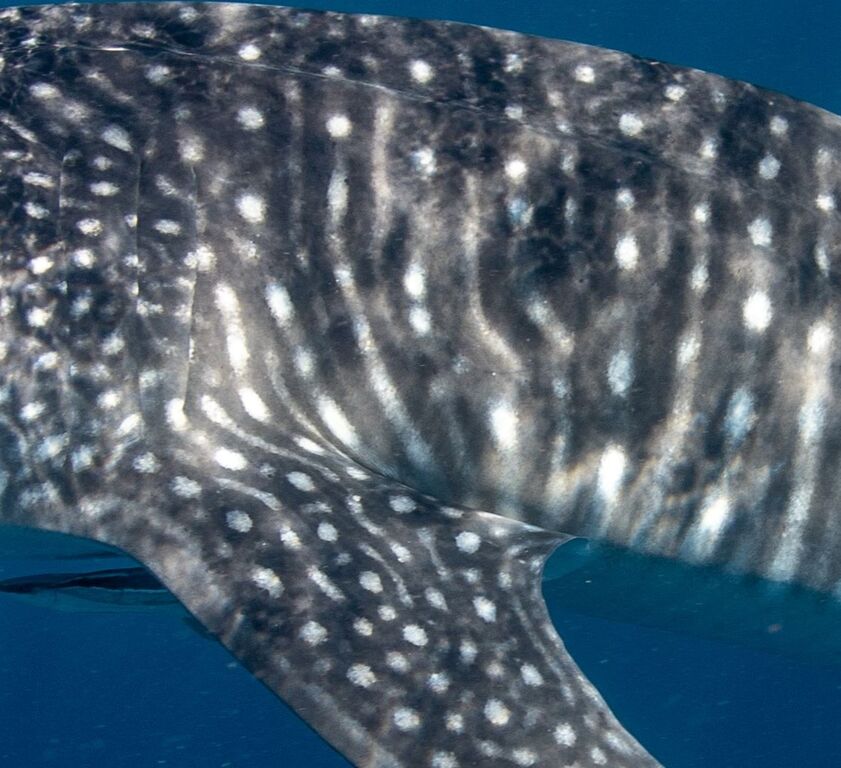 9357b72a-d7e3-4d26-807d-7008996399d8