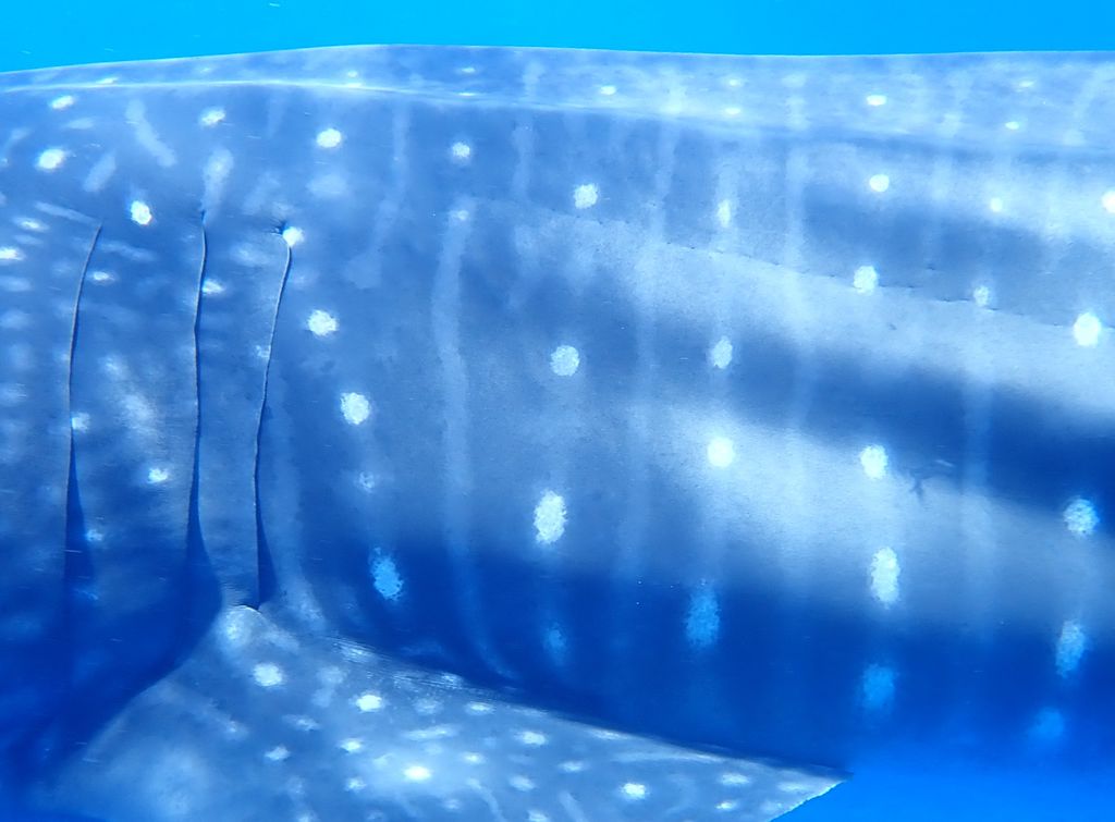 8e944a50-f3a0-471b-8e94-5af1e34d8dc3