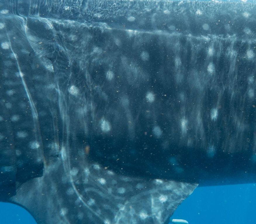 feb1ea97-dbb1-441f-9fc9-741ca5a2c59e