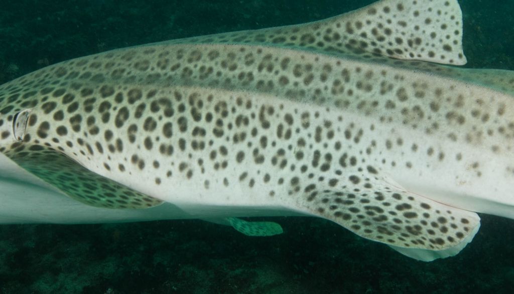 b59a32f6-1091-4849-b0c2-c59a1a420614