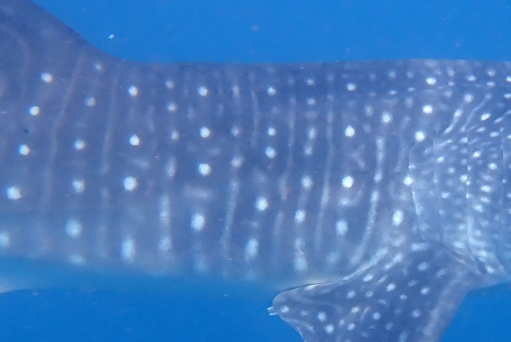 d128d353-c013-4e0e-b13a-45483c33b817