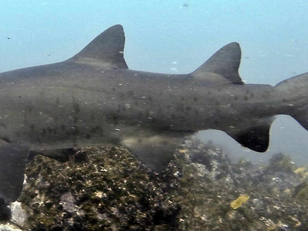 e5f72880-a0af-4c28-884d-c360d908e89f